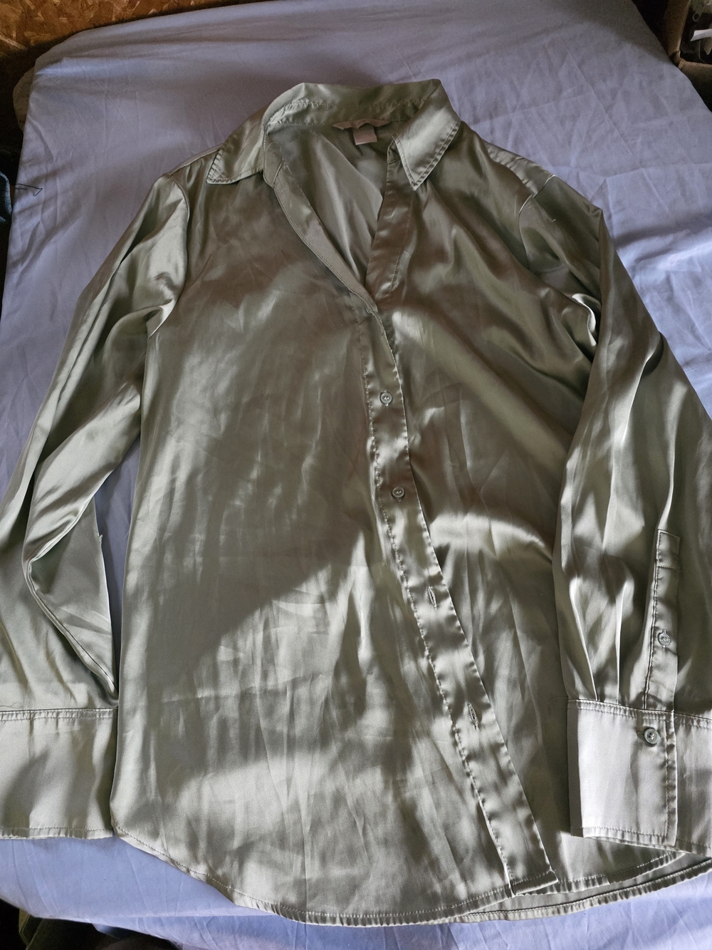 H&M Light Sage Green Satin Button-Up Blouse